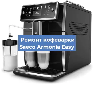 Чистка кофемашины Saeco Armonia Easy от кофейных масел в Санкт-Петербурге